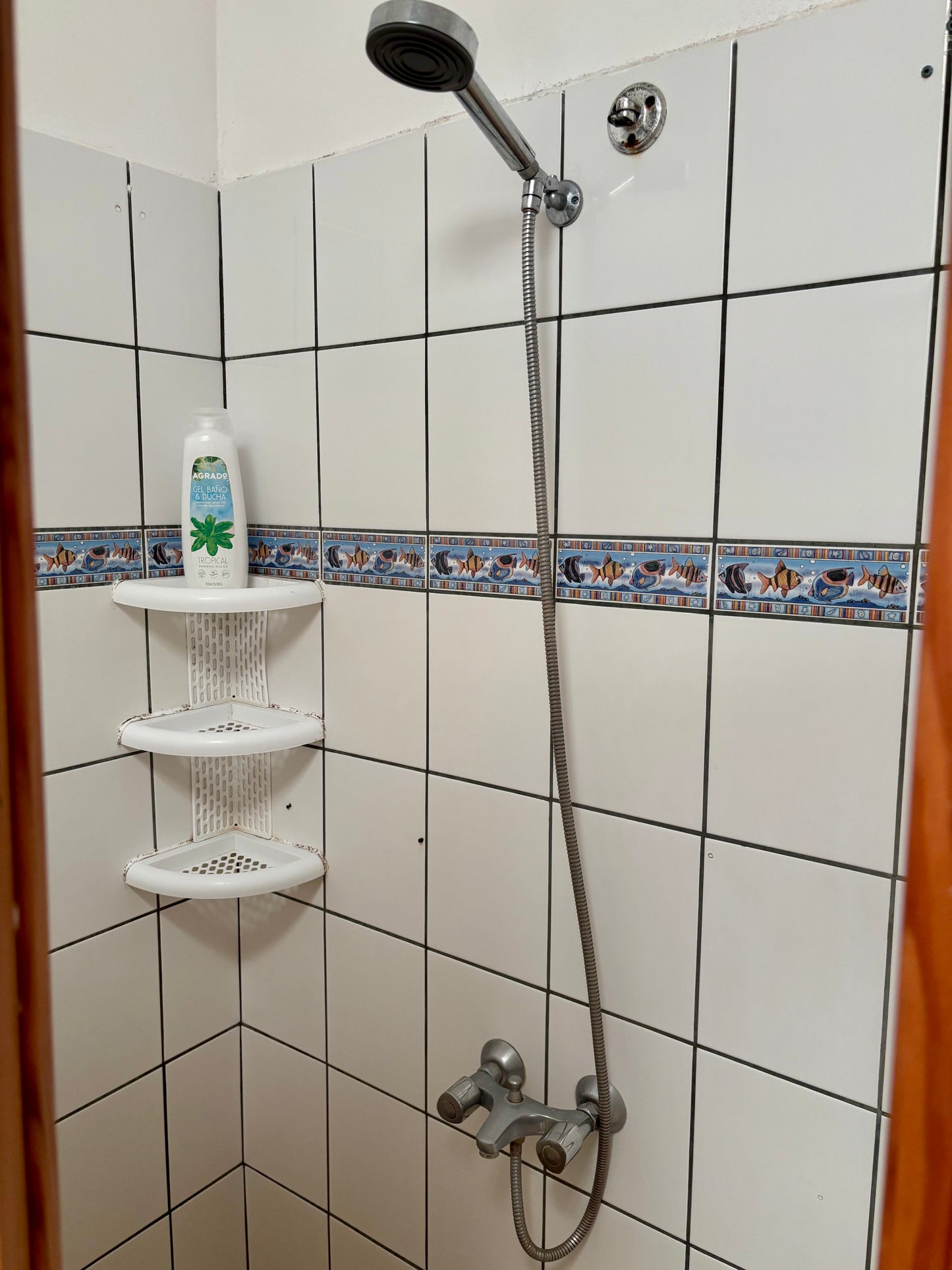 Chambre Hani